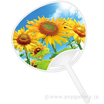 うちわ ひまわり