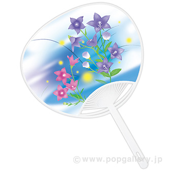 うちわ 桔梗