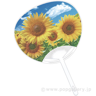 うちわ ひまわり