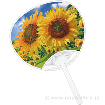 うちわ ひまわり
