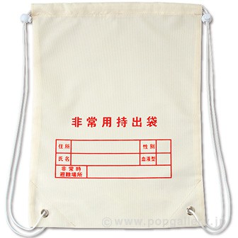 非常用持出袋(両リュックタイプ)