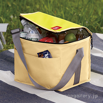 キャンプス 保冷温レジャーバッグ