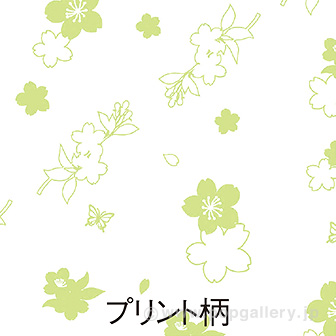 2024スプリングペアロール