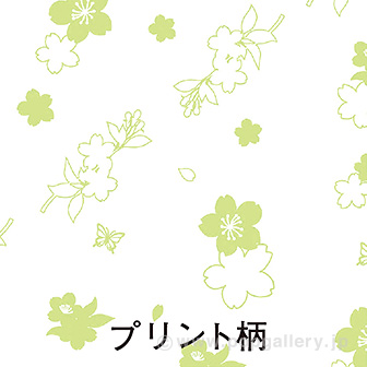 スプリングティッシュ120W