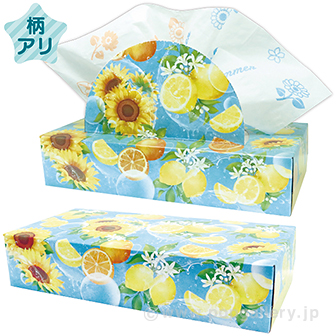 2026ビタミンサマーティッシュ120W