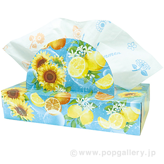 2026ビタミンサマーティッシュ120W