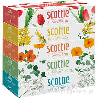スコッティフラワーボックス１６０Ｗ（５Ｐ）