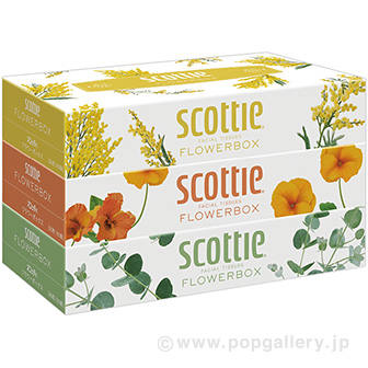 スコッティフラワーボックス１６０Ｗ（３Ｐ）