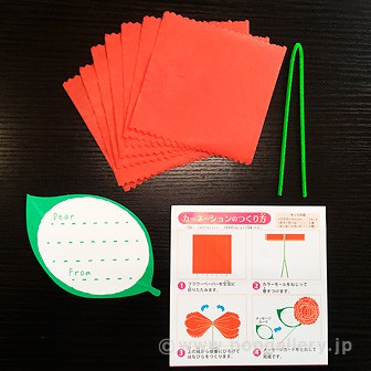 手作りカーネーションキット