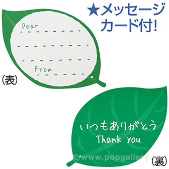 手作りバラキット