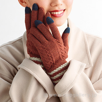 アムテ スマホグローブ