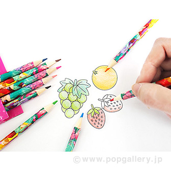 10色 色えんぴつセット② （D）