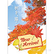 A3ポスター New Arrival（Autumn）