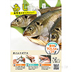A3ポスター あじ（下ごしらえのコツ）