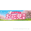 パラポスター お花見特集