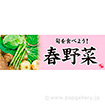 パラポスター　春野菜