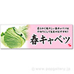 パラポスター　春キャベツ