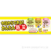 パラポスター 今日からできる！かんたん防災