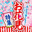 テーマポスター お花見特集