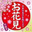テーマポスター お花見