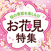 テーマポスター　お花見特集