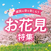 テーマポスター お花見特集
