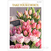 テイク・ユア・チョイス チューリップ