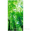 木漏れ日若葉タペストリー（防炎加工）