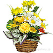 菜の花アレンジバスケット