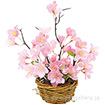 山桜アレンジバスケット