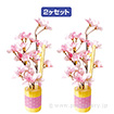 和桜スタンドセット