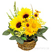 ひまわりの花かご ♡ a026a7b6bc8af4d3596afa0887772e