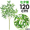 120cm七夕笹