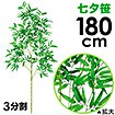 180cm七夕笹