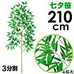 210cm七夕笹