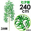 240cm七夕笹