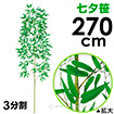 270cm七夕笹