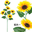 TY2-0127.jpg