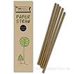 環境にやさしいペーパーストロー5本入