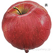 14インチアイブレックスバルーン（りんご）