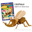 ダンボール工作シリーズ（カブトムシ）