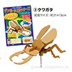 ダンボール工作シリーズ カブトムシ A カブトムシ ノベルティ 販促物 販促通販の Pop Gallery ポップギャラリー