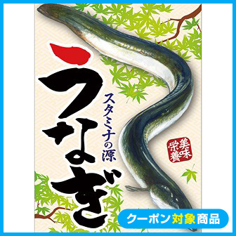 A3ポスター うなぎ イラスト タイトルポップ 販促物 販促通販の Pop Gallery ポップギャラリー