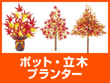 ポット・プランター立木（リス・赤トンボ）を見る