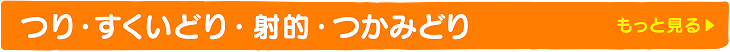 つり・すくいどり・射的・つかみどり 商品一覧をもっと見る