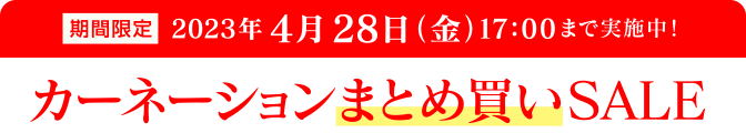 期間限定2023年4月28日(金)17:00まで実施中!カーネーションまとめ買いSALE