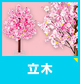 桜の立木を見る