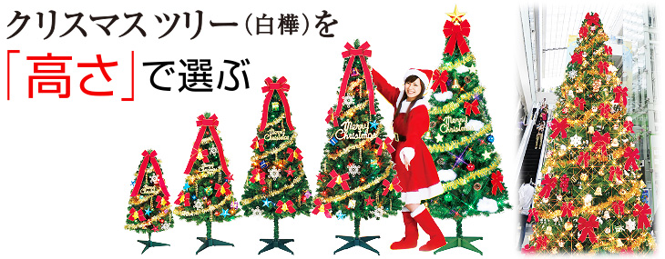 クリスマスツリー（白樺）を「高さ」で選ぶ