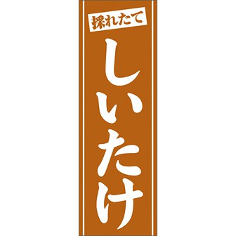 のぼり（大） 採れたて しいたけ（茶）