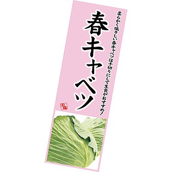 長尺ポスター 春キャベツ